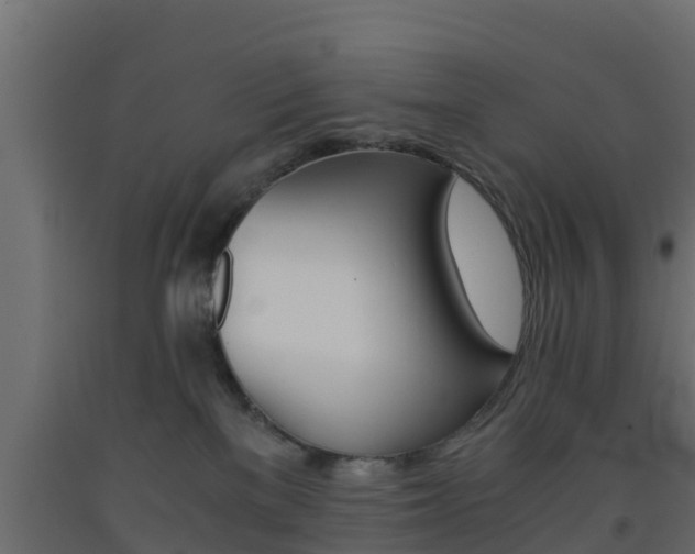 X0000093570137200710151024