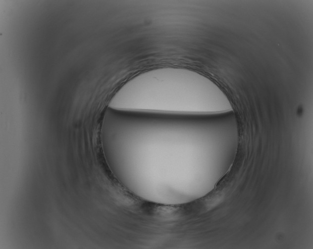 X0000093570139200710151024
