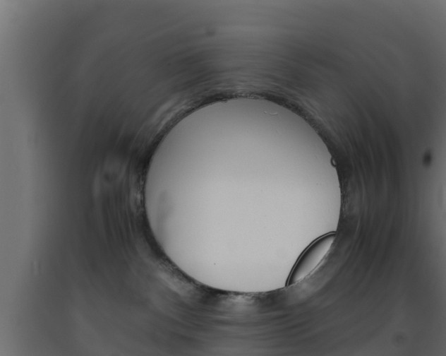 X0000093570140200710151024