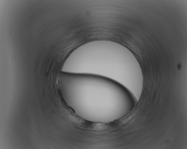 X0000093570141200710151024