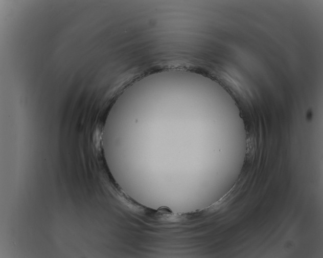 X0000093570142200710151024