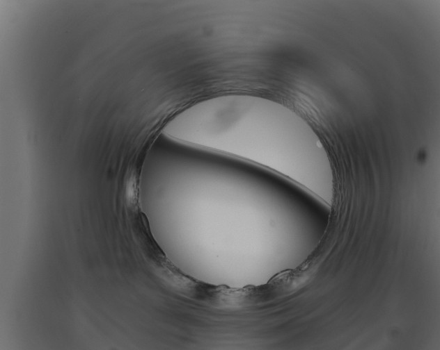 X0000093570143200710151024