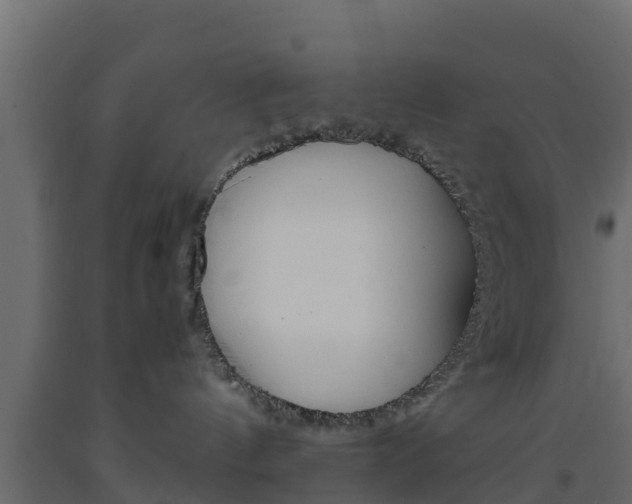 X0000093570144200710151024