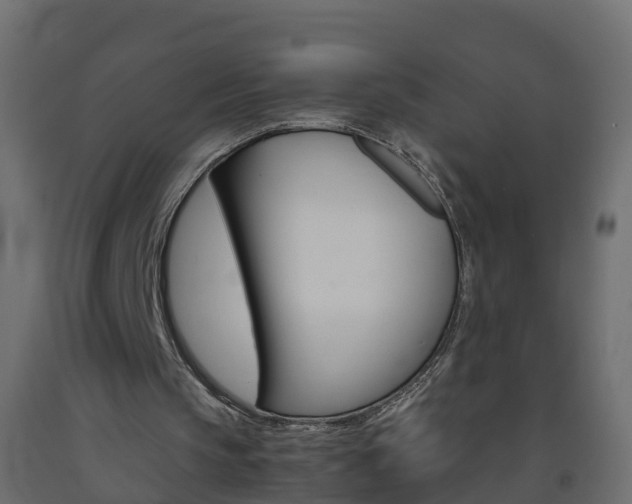 X0000093570145200710151023