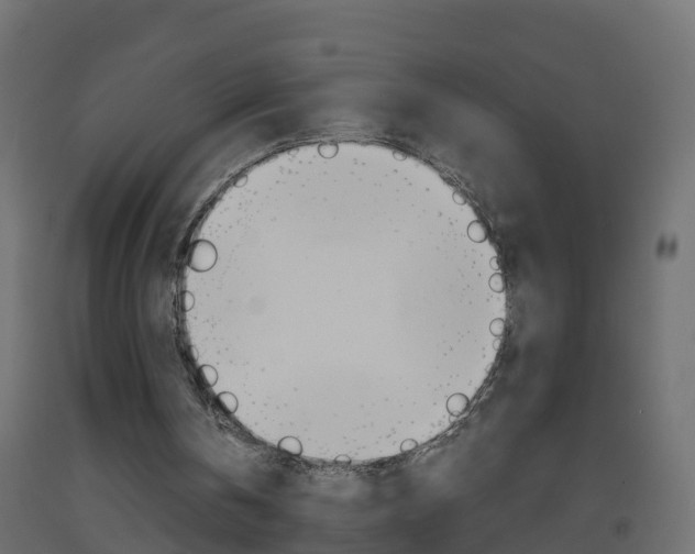 X0000093570146200710151023