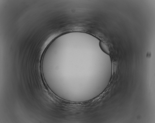 X0000093570147200710151023