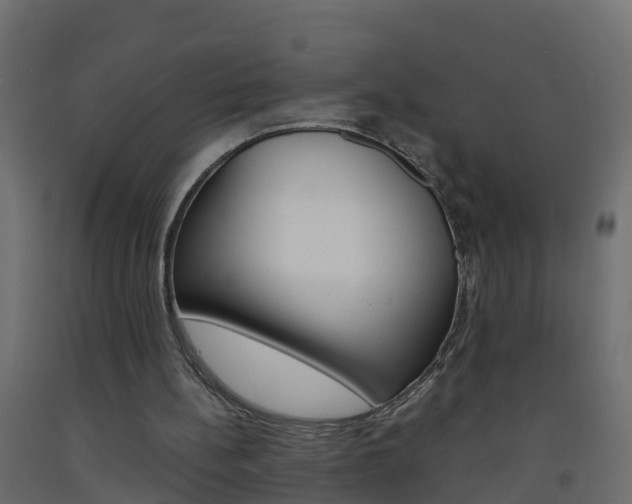 X0000093570148200710151023
