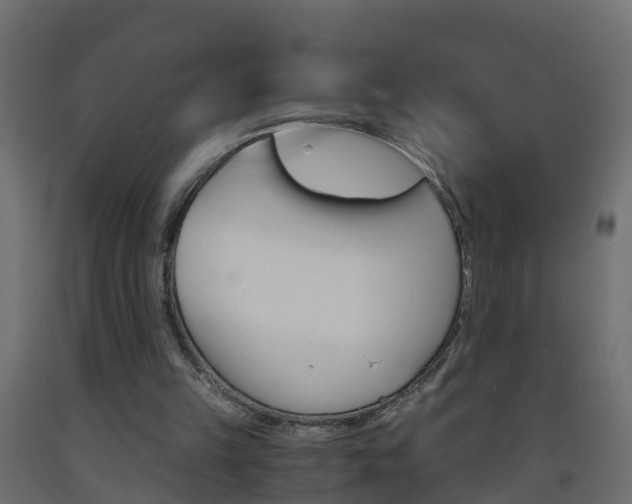 X0000093570149200710151023