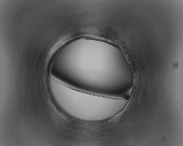 X0000093570150200710151023