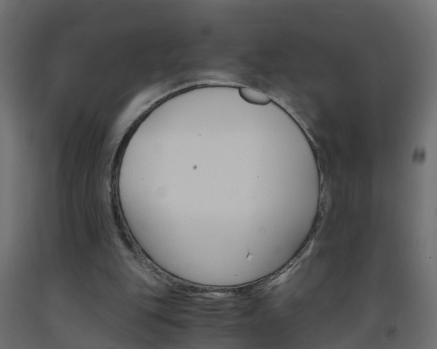 X0000093570151200710151023