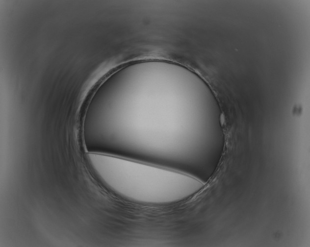 X0000093570152200710151023
