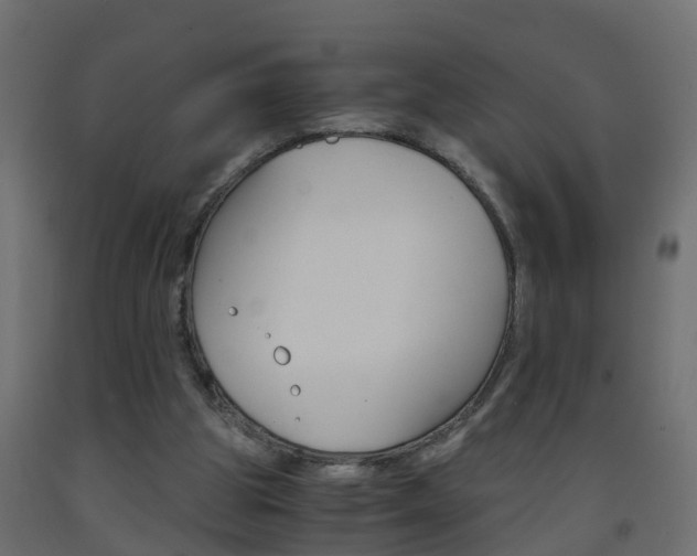 X0000093570153200710151023
