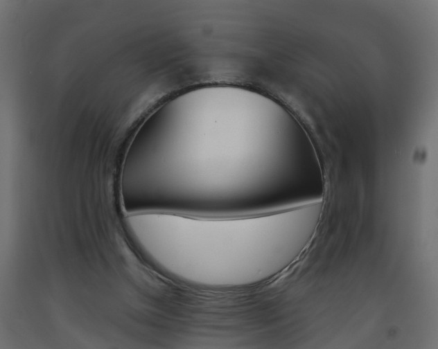 X0000093570154200710151023