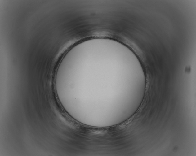 X0000093570155200710151023