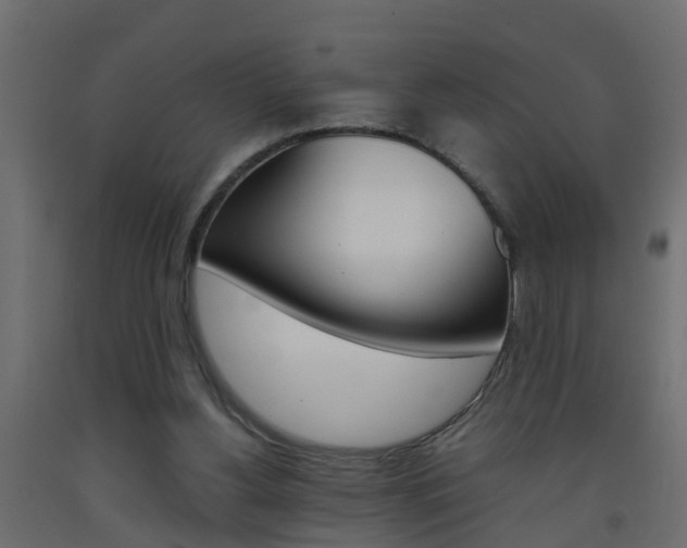 X0000093570156200710151023