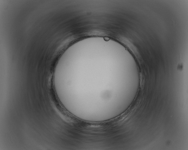 X0000093570157200710151023
