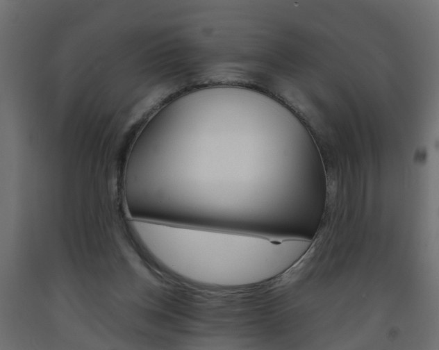 X0000093570158200710151023