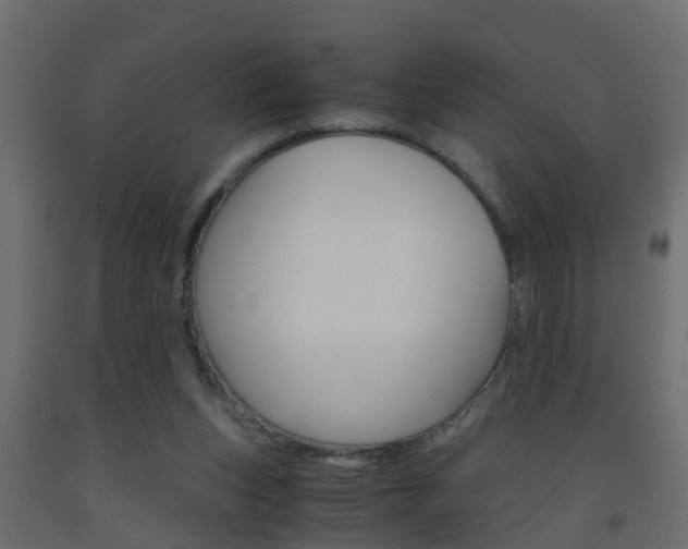 X0000093570159200710151023
