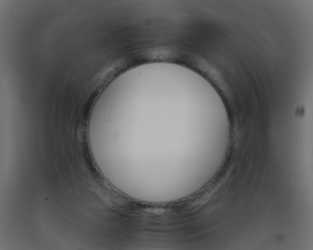 X0000093570161200710151023