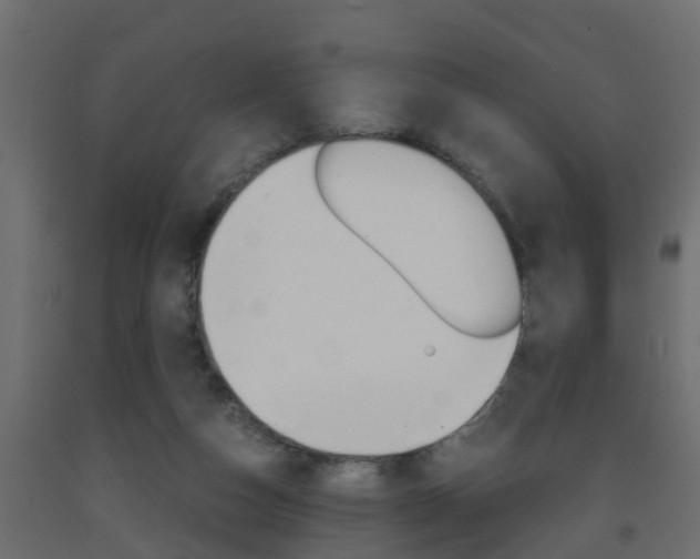 X0000093570162200710151023