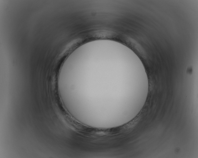 X0000093570163200710151023