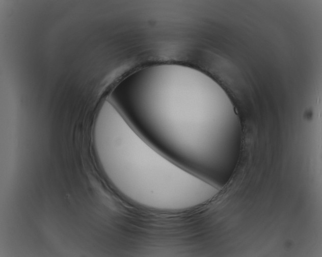X0000093570164200710151023