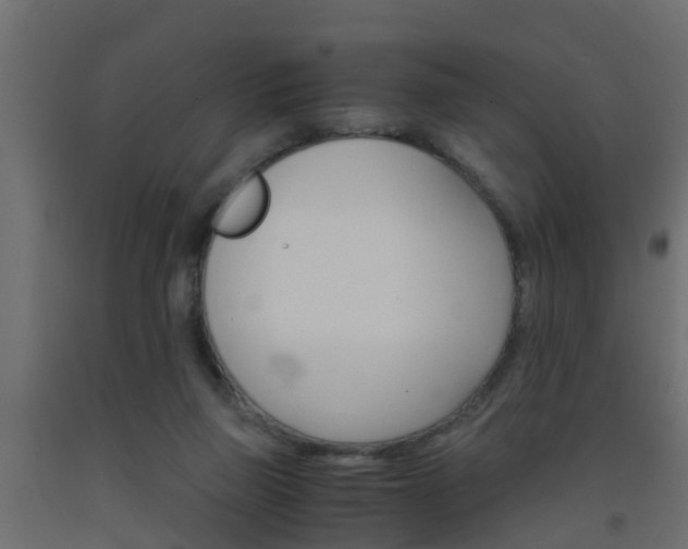 X0000093570165200710151023