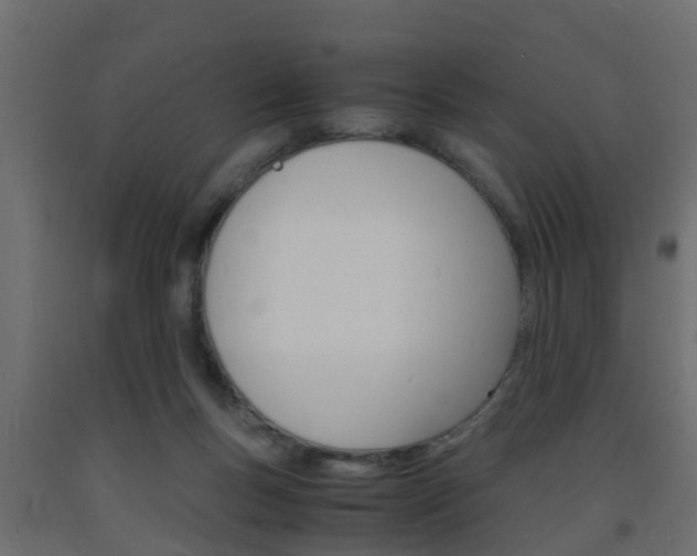 X0000093570167200710151023