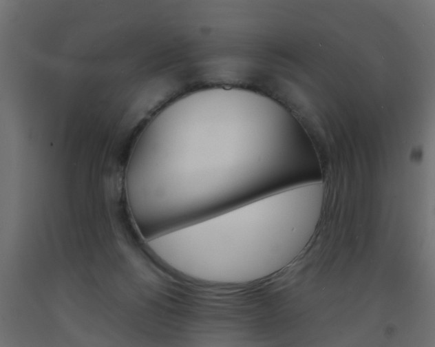 X0000093570168200710151024