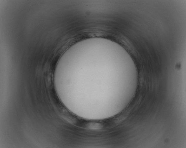 X0000093570169200710151024