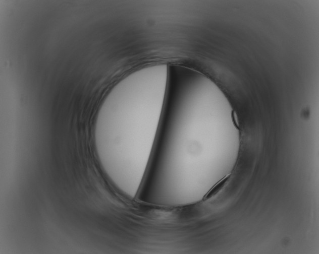 X0000093570170200710151024