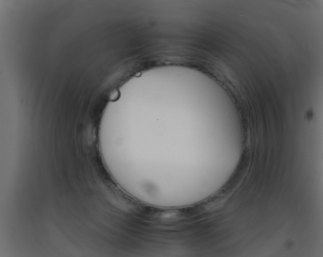 X0000093570173200710151024