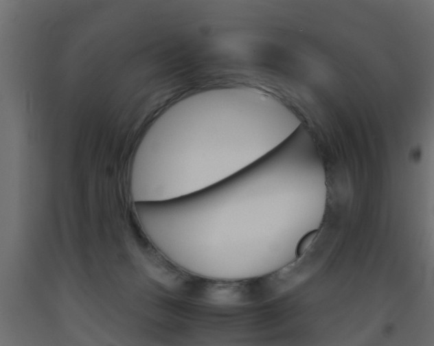 X0000093570175200710151024