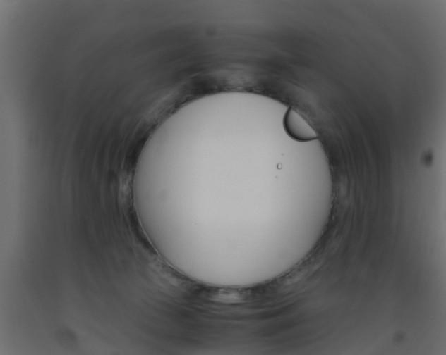 X0000093570177200710151024