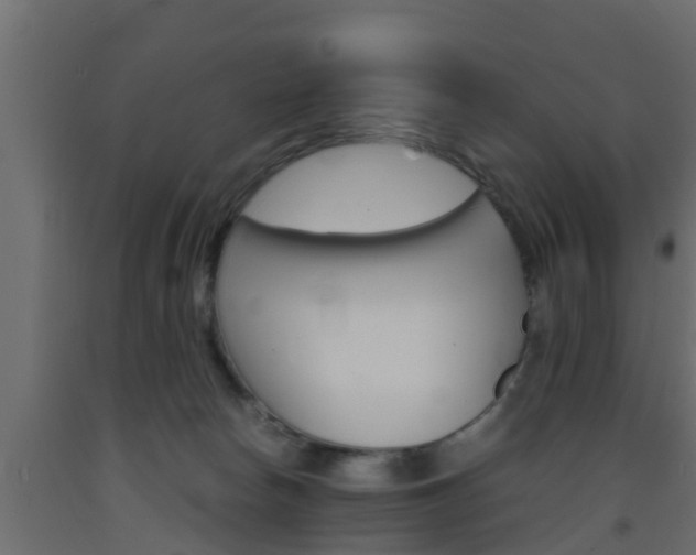 X0000093570178200710151024