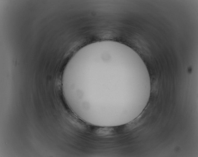 X0000093570179200710151024