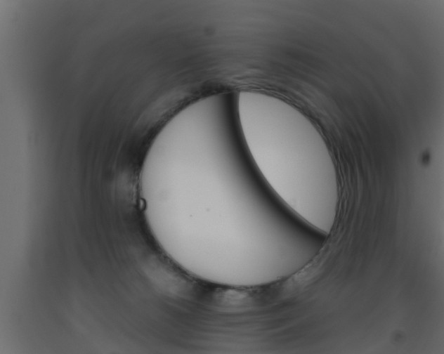 X0000093570180200710151024