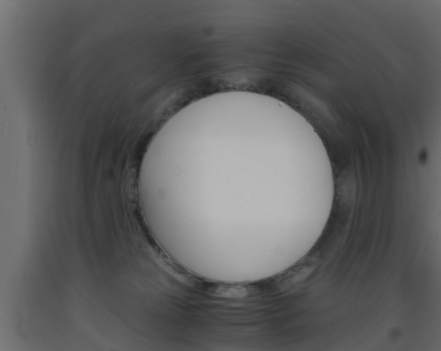 X0000093570181200710151024