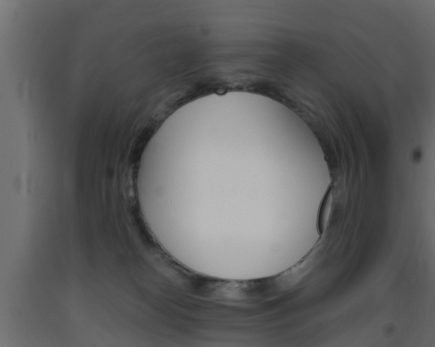 X0000093570182200710151024