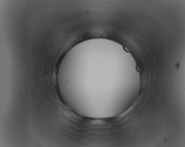 X0000093570183200710151024