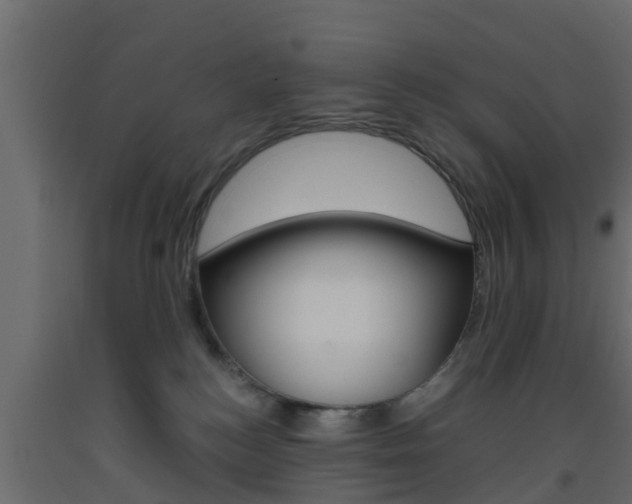 X0000093570184200710151024