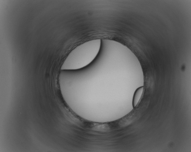 X0000093570185200710151024