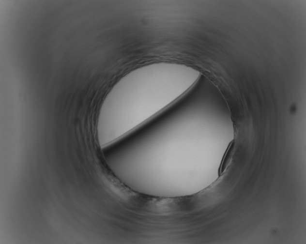 X0000093570186200710151024
