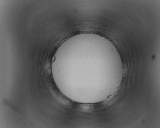 X0000093570187200710151024