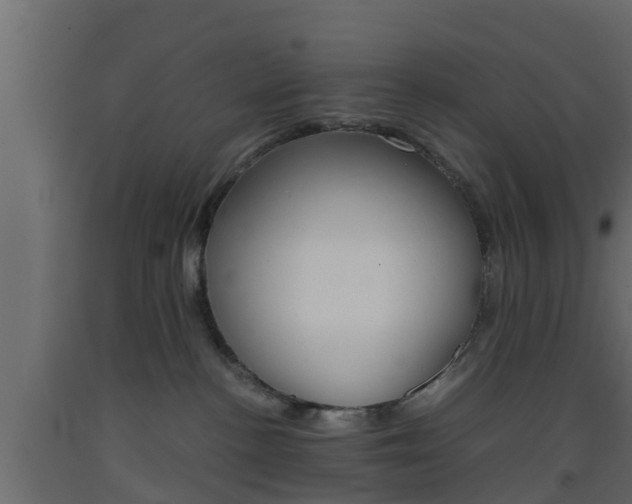 X0000093570188200710151024