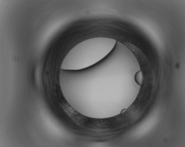 X0000093570189200710151024