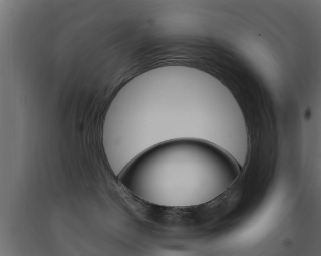 X0000093570190200710151024