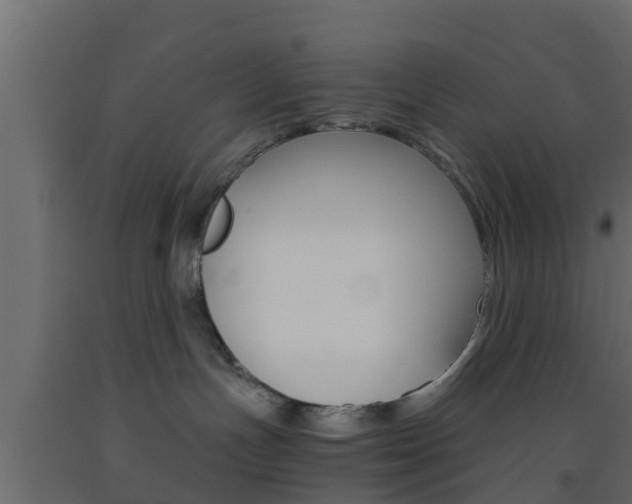 X0000093570191200710151024