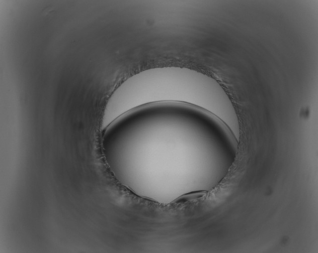 X0000093570192200710151024
