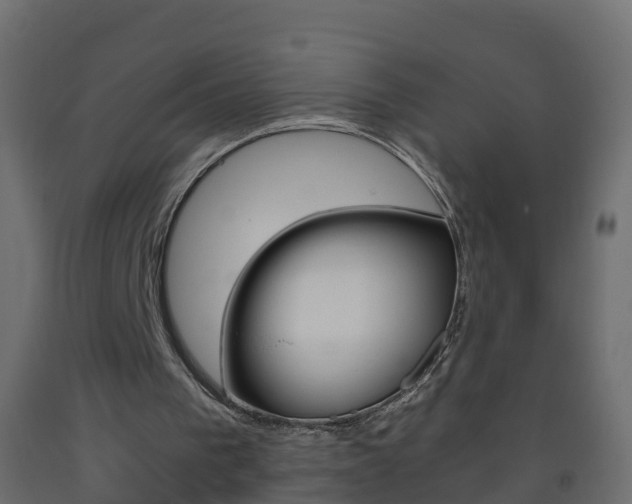 X0000093570193200710151023